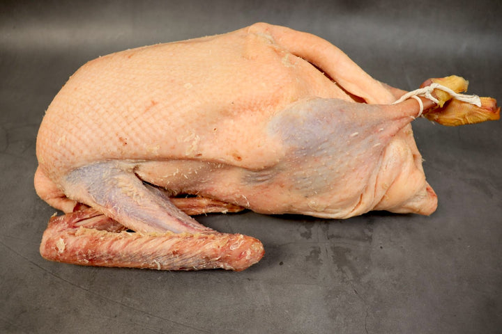 Goose