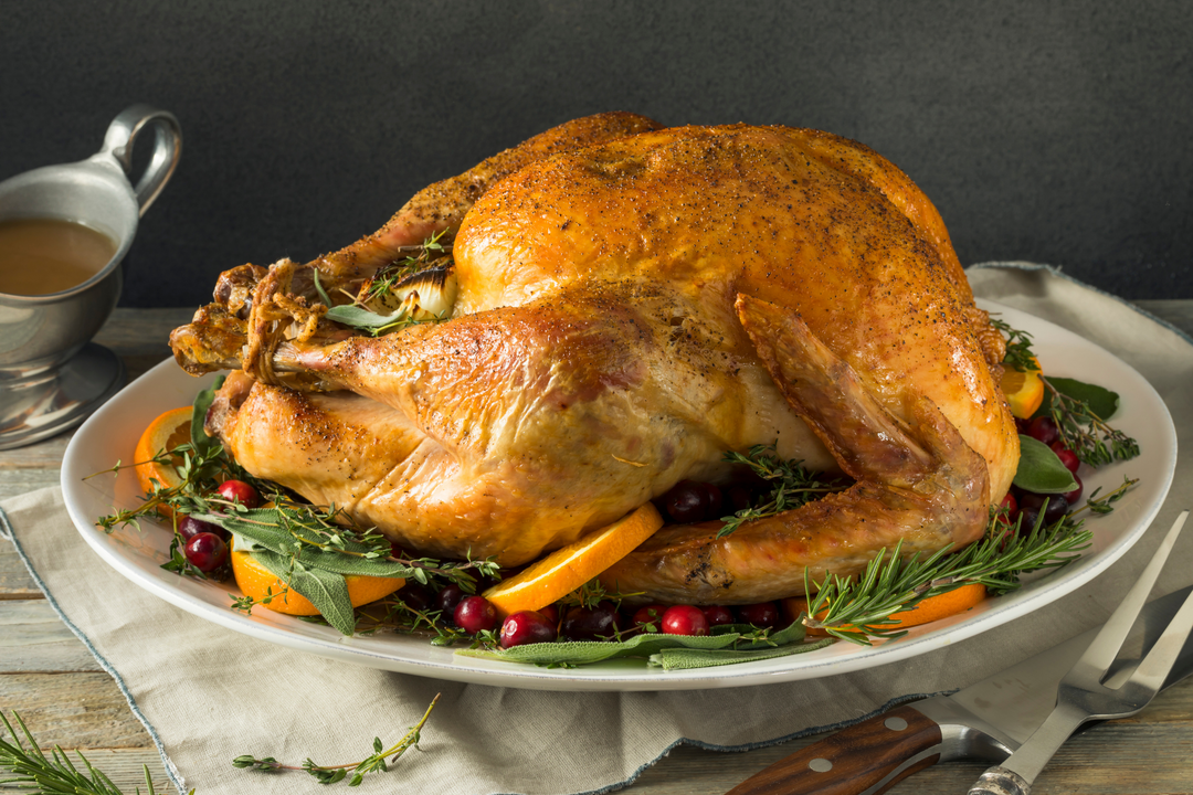 Bronze Turkey