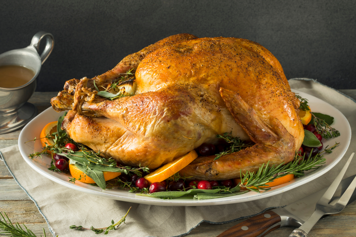 Bronze Turkey